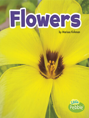 cover image of Flowers